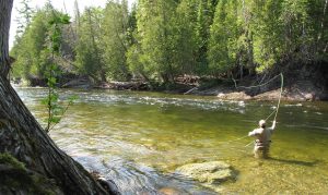 Pêche au saumon – Rivière Sainte-Anne